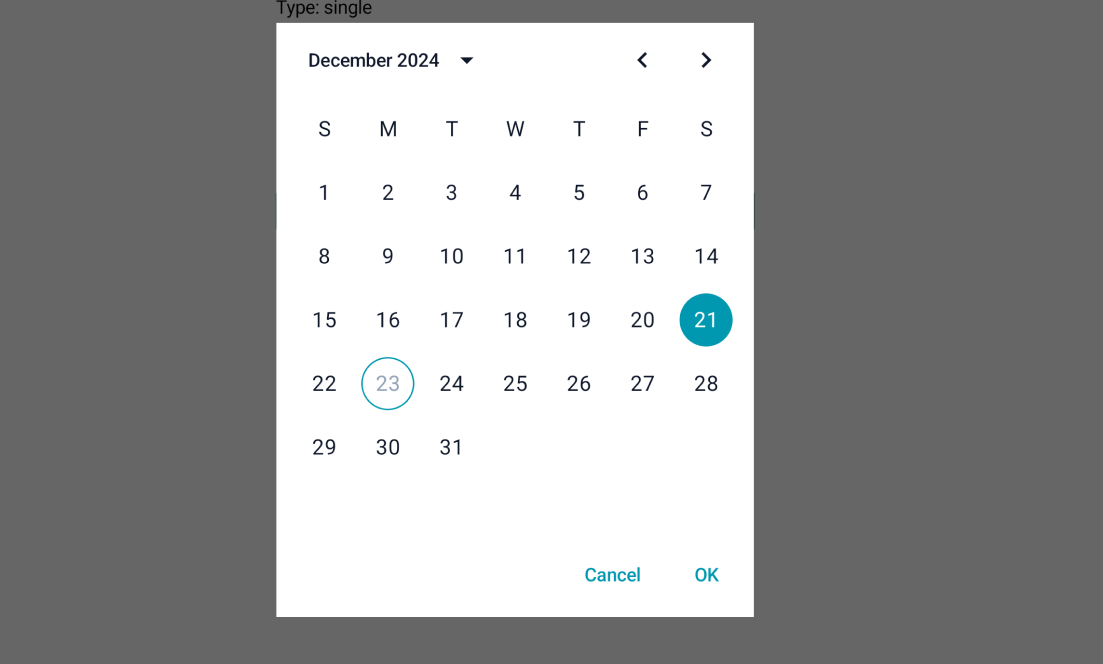 DatePicker Preview